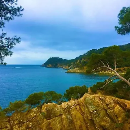 3 Etoiles Au Bord De L'eau *